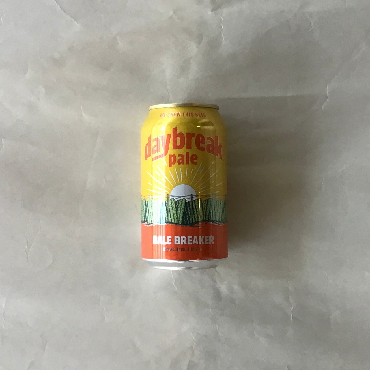 ベールブレーカー/デイブレーク‐Daybreak Pale Ale 355ml